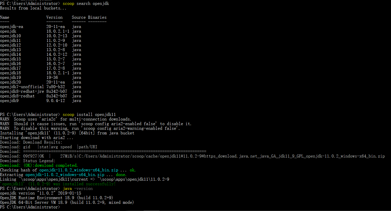 install-openjdk11